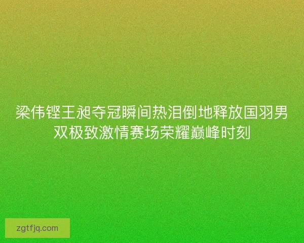 梁伟铿王昶夺冠瞬间热泪倒地释放国羽男双极致激情赛场荣耀巅峰时刻